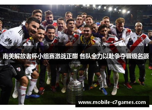 南美解放者杯小组赛激战正酣 各队全力以赴争夺晋级名额
