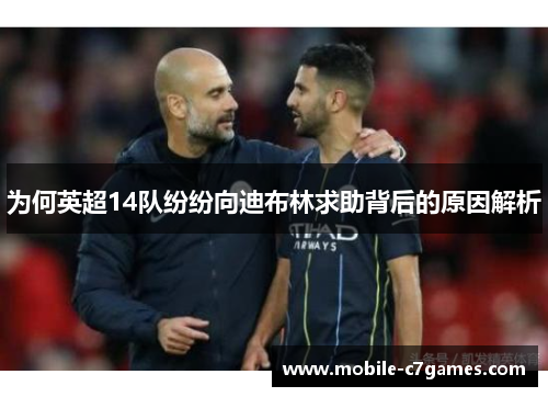 为何英超14队纷纷向迪布林求助背后的原因解析