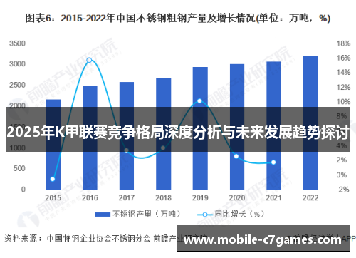 2025年K甲联赛竞争格局深度分析与未来发展趋势探讨