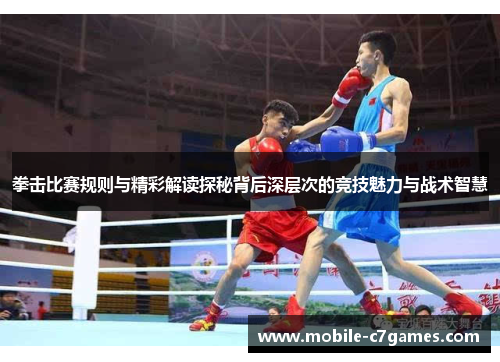 拳击比赛规则与精彩解读探秘背后深层次的竞技魅力与战术智慧