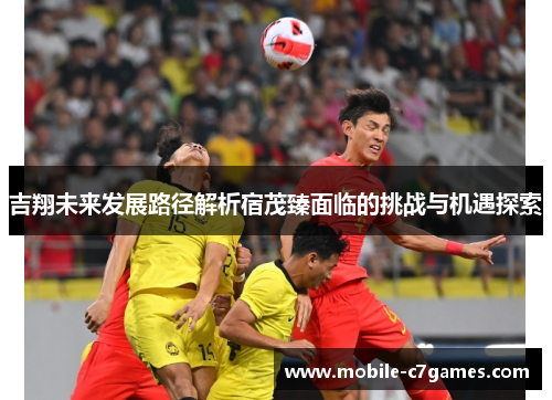 吉翔未来发展路径解析宿茂臻面临的挑战与机遇探索