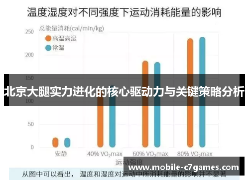 北京大腿实力进化的核心驱动力与关键策略分析