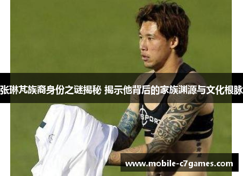 张琳芃族裔身份之谜揭秘 揭示他背后的家族渊源与文化根脉