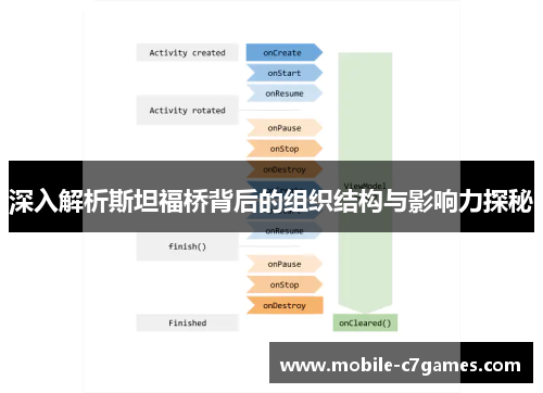 深入解析斯坦福桥背后的组织结构与影响力探秘