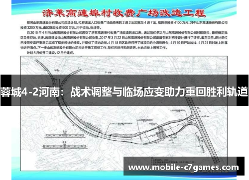 蓉城4-2河南：战术调整与临场应变助力重回胜利轨道