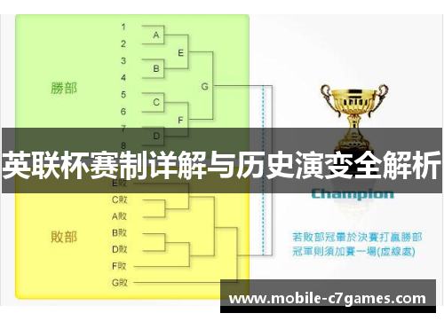 英联杯赛制详解与历史演变全解析 英联杯赛制详解与历史演变全解析
