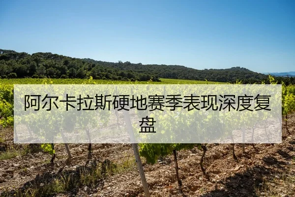阿尔卡拉斯硬地赛季表现深度复盘